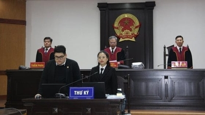 人民裁判所: 政治的および法的要塞、制度の柱、そして人々の信頼の源。