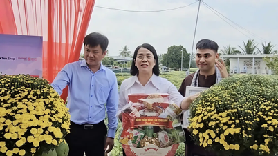 Líderes locais transmitem ao vivo a venda de crisântemos para ajudar os agricultores.