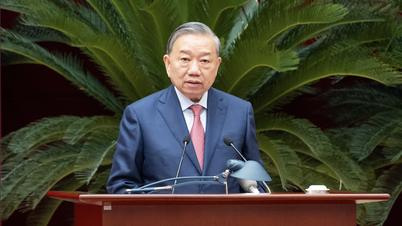 Vietnam acepta la invitación para unirse al Consejo de Paz de Gaza