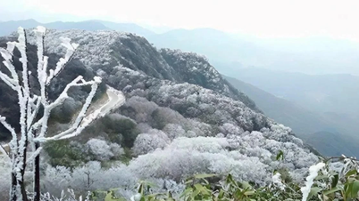 Uma forte frente fria chegou, trazendo temperaturas abaixo de 6 graus Celsius para algumas áreas montanhosas do norte do Vietnã.