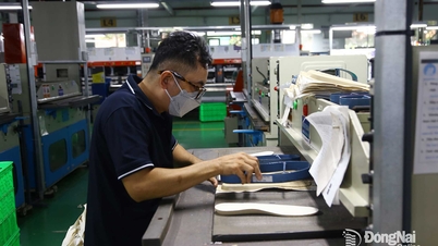 Las empresas cumplen proactivamente sus obligaciones fiscales.
