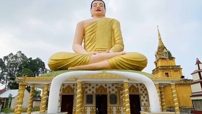 Bewundern Sie die kolossalen Buddha-Statuen.
