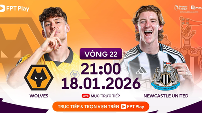 Prognoza meczu Wolves kontra Newcastle, 18 stycznia, godz. 21:00: „Test” odrodzenia.