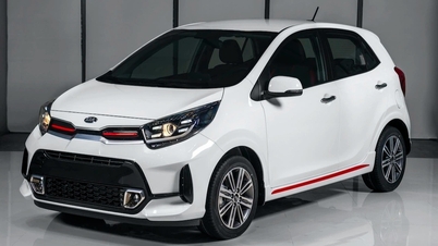 Se subastarán 30 automóviles Kia Morning, con precios que comenzarán desde solo 60 millones de VND por automóvil.