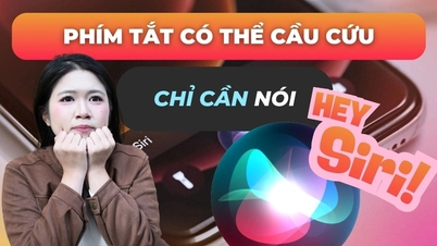 아이폰 단축키는 단 한 문장으로 조용히 도움을 요청할 수 있습니다.