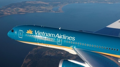 Vietnam Airlines launches an unprecedented number of new international routes: The driving force and strategy behind it.