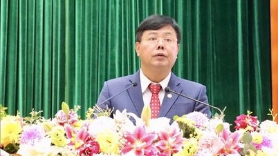 An Giang está concentrando todos os seus recursos em pilares econômicos estratégicos.