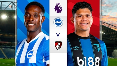 Kampforhåndsvisning: Brighton vs Bournemouth, kl. 03.00, 20. januar: Måker svever høyt.
