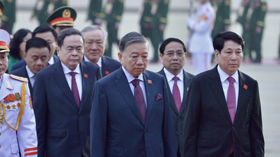 Le secrétaire général To Lam et les délégués du 14e Congrès national visitent le mausolée du président Hô Chi Minh.