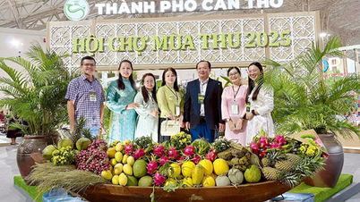 Pameran Musim Semi Nasional 2026: Sebuah kesempatan untuk mempromosikan budaya dan perdagangan.