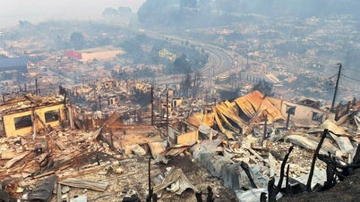 Le Chili déclare l'état de catastrophe naturelle en raison des incendies de forêt ; au moins 18 personnes ont perdu la vie.