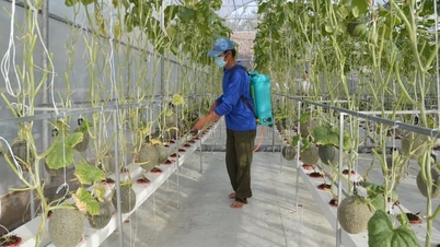 Bến Tre: Khai thác tiềm năng sông nước để phát triển kinh tế