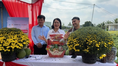 Bí thư xã Chợ Lách livestream giúp nông dân bán cúc Tết