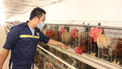 Bước chuyển sản xuất