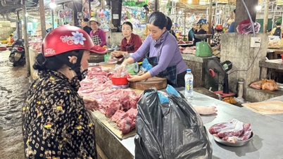 Preventing disease outbreaks and ensuring food safety during Tet (Lunar New Year)