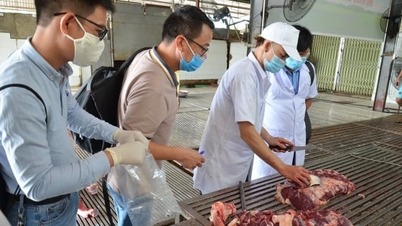 Hanoi memberikan subsidi suku bunga untuk pembangunan rumah pemotongan hewan.