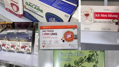 Triệt phá đường dây sản xuất, buôn bán thực phẩm chức năng giả quy mô đặc biệt lớn