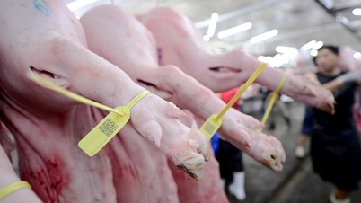 Cozinhar bem os alimentos é simplesmente seguro: Verdade, mas não é suficiente.
