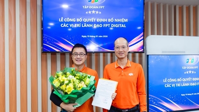 FPT Digital ogłasza powołanie nowego prezesa zarządu i dyrektora generalnego.