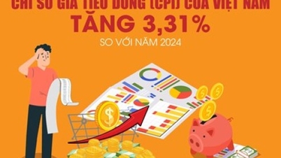 베트남의 평균 소비자물가지수는 2025년에 3.31% 상승할 것으로 전망된다.