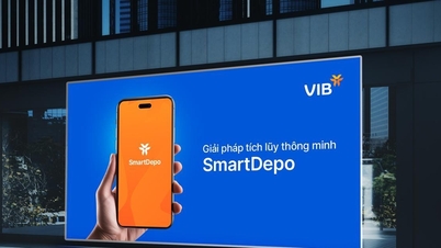 Формула управления денежными потоками в ожидании возможностей с помощью VIB SmartDepo.