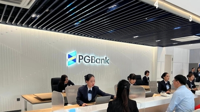 Taxas de juros bancárias hoje, 19 de janeiro: O PGBank reduziu drasticamente as taxas em 0,5% para depósitos a longo prazo.