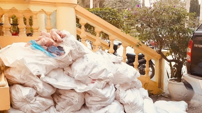 مقامات یک تُن پای خوک قاچاق شده و بدبو از چین را توقیف کردند.