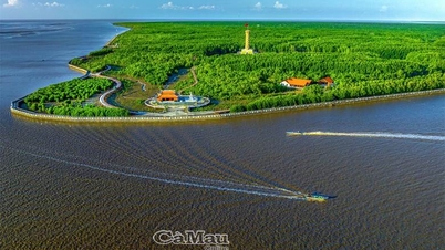 ប្រមូលផ្តុំ និងប្រើប្រាស់ធនធានទាំងអស់ប្រកបដោយប្រសិទ្ធភាព ទាញយកសក្តានុពល និងគុណសម្បត្តិ ព្រមទាំងកសាងខេត្ត Ca Mau ឲ្យក្លាយជាខេត្តមួយដែលមានការអភិវឌ្ឍយ៉ាងឆាប់រហ័ស និងប្រកបដោយចីរភាព។