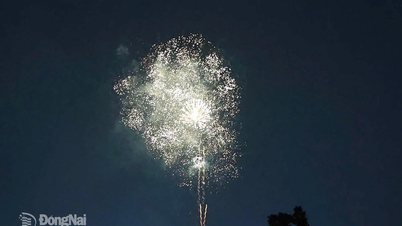 La provincia de Dong Nai organizará 10 exhibiciones de fuegos artificiales en la víspera de Año Nuevo Lunar 2026 (Año del Caballo).