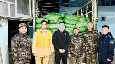 Hải quan chặn đứng thực phẩm đông lạnh và thuốc lá nhập lậu