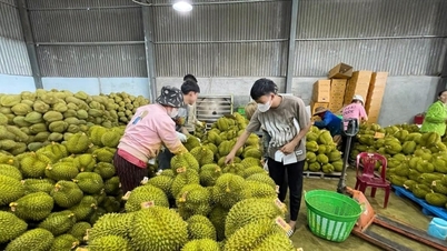 L'agriculture joue un rôle essentiel dans l'économie.