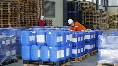Reprezentantul Societății Chimice: Ministerul Industriei și Comerțului a oferit prompt sprijin în ceea ce privește procedurile administrative referitoare la substanțele chimice.