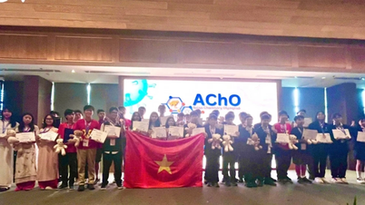 Delegasi pelajar Vietnam memenangi 44 anugerah cemerlang di Olimpik Kimia Asia.