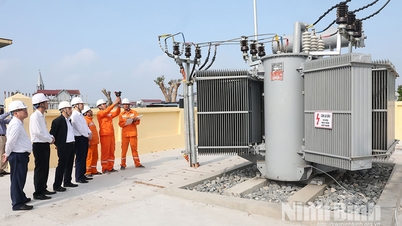 Ninh Binh Power Company inspects the power grid serving water pumps for planting the Winter-Spring crop.