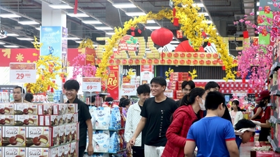 Abundantes productos para satisfacer las necesidades de compras del Tet.