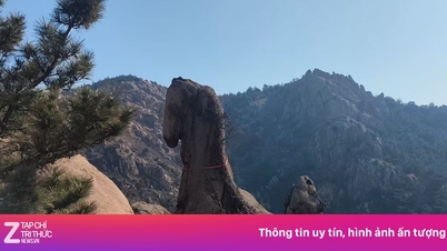 Orang-orang berbondong-bondong untuk mengambil foto batu berbentuk kuda di Tiongkok.