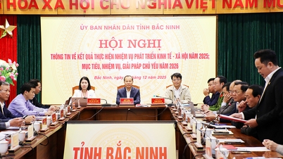 Regulamentos sobre comunicação e fornecimento de informações à imprensa por agências e unidades na província de Bac Ninh.