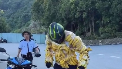 Da Nang: Pelancong asing memberi amaran agar tidak membalut daun pisang di sekeliling diri mereka untuk bermain dengan monyet di Son Tra.