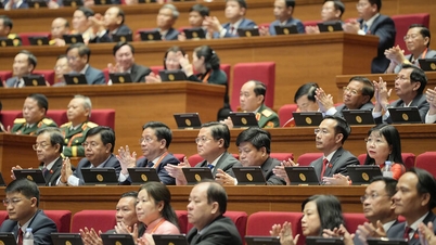 Detik-detik delegasi Jawatankuasa Parti Wilayah An Giang pada sesi persediaan Kongres Kebangsaan Parti ke-14.