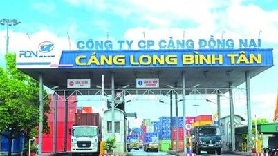 Le port de Dong Nai (PDN) explique l'augmentation de près de 20 % de ses bénéfices au quatrième trimestre 2025.