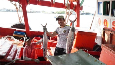 Os pescadores tiveram uma última pescaria bem-sucedida do ano.