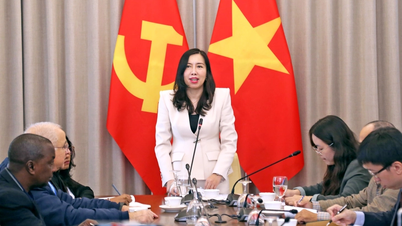 Jornalistas internacionais e jornais em língua vietnamita no exterior desejam muito sucesso ao 14º Congresso Nacional do Partido.