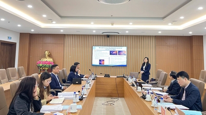 Họp Hội đồng tài trợ, đặt hàng nhiệm vụ khoa học và công nghệ cấp tỉnh năm 2025 (bổ sung) đề tài