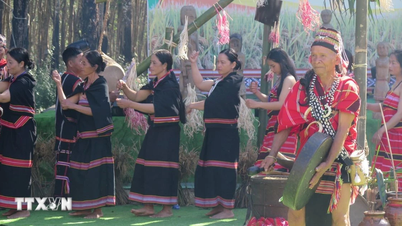 কোয়াং এনগাই: সময়ের স্রোতে ঐতিহ্যবাহী সংস্কৃতিকে ভেসে যাওয়া থেকে রক্ষা করা।
