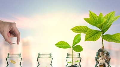 Usulan amandemen terhadap peraturan mengenai sektor dan pekerjaan yang mendapat insentif investasi, lokasi yang mendapat insentif investasi, serta insentif dan dukungan investasi khusus.