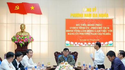 Vice Chairman of the Lam Dong Provincial People's Council, Tieu Hong Phuc, works in Nam Gia Nghia ward.