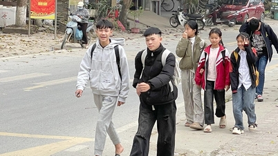 Northeast monsoon winds and cold weather prevail in Tuyen Quang province.