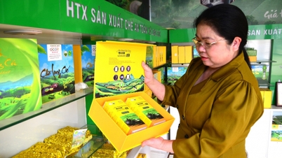 Phú Thọ có 6 sản phẩm OCOP 5 sao