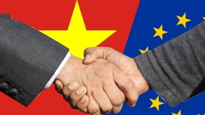 Міністерство промисловості і торгівлі відіграє провідну роль у впровадженні EVFTA, CPTPP та UKVFTA.