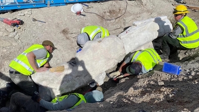 Mientras construían un estacionamiento, un grupo de trabajadores descubrió un fósil de un dinosaurio de cuello largo.